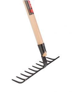 Garden rake - 10 teeth - Forged - 25 cm - Without handle
