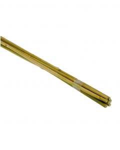 Tonkinstok 300cm